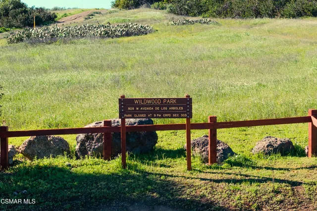a view of a lush green field with lots of plants in it