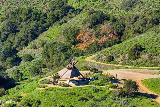 a view of a bunch of plants and trees