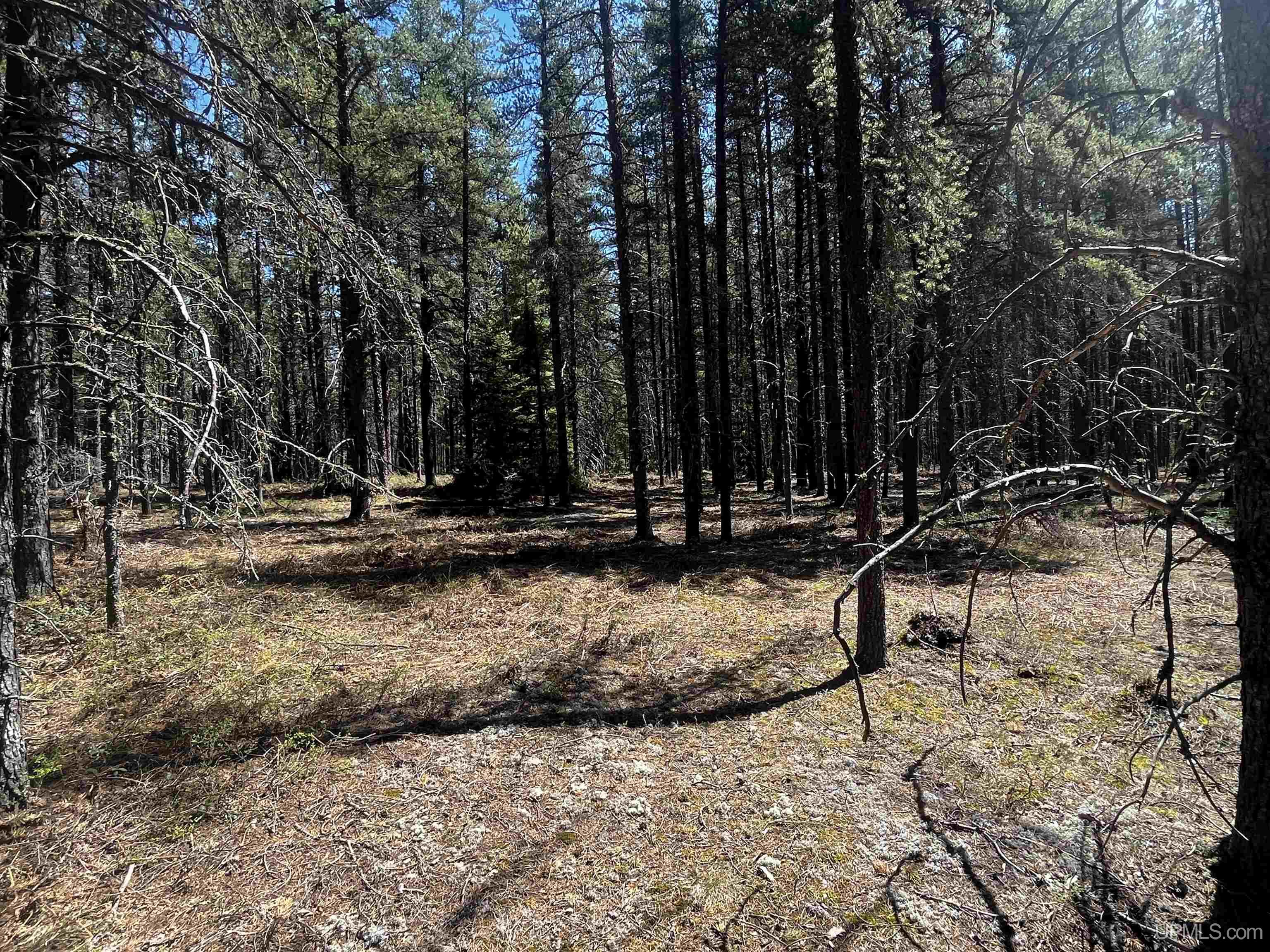 67 County Gga Road Ishpeming, MI 49849 - Photo 28 of 38