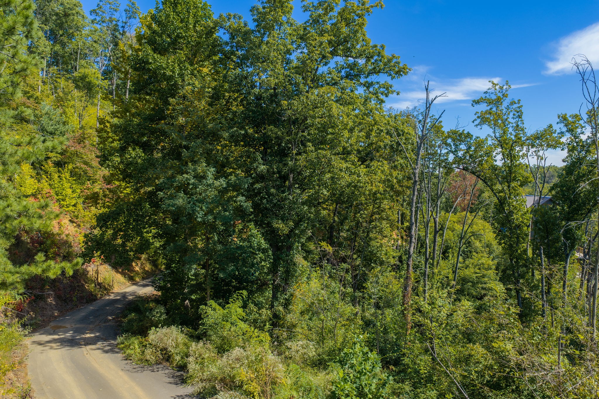 0 Spurling Road Sevierville, TN 37862 - Photo 3 of 15 Gallery Image 3