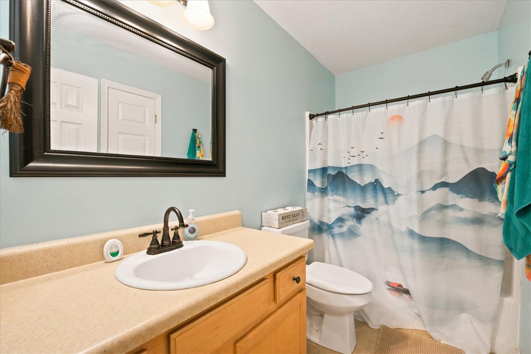 520 Sharon Lane Seneca, SC 29678 - Photo 32 of 48 A well-appointed bathroom featuring a single vanity and a shower with an artistic mountain-themed curtain.
