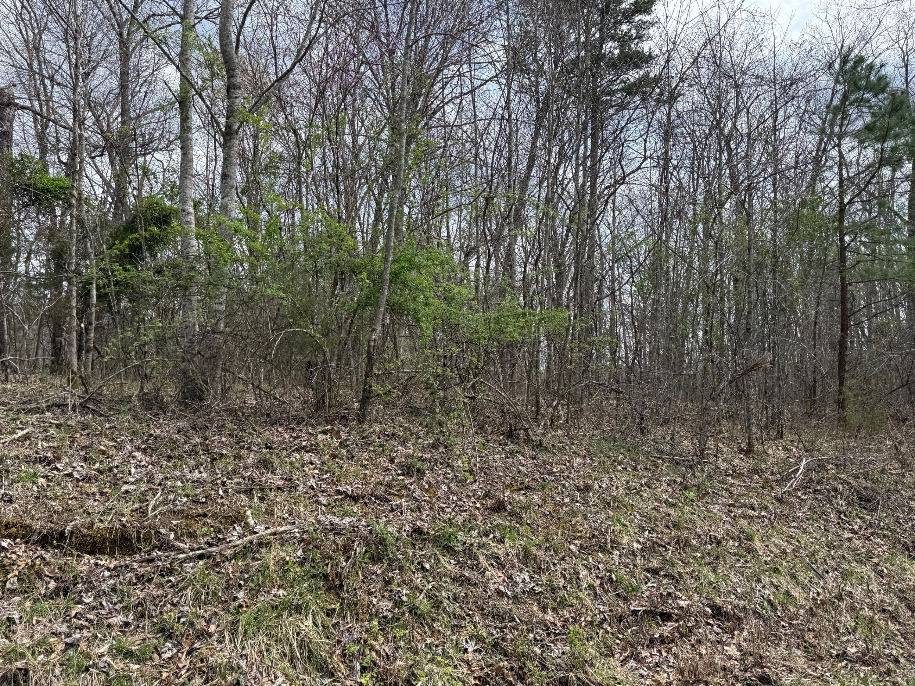 0 Long Branch Road Beattyville, KY 41311 - Photo 2 of 2 IMG_8170