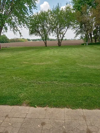 a view of yard with an trees