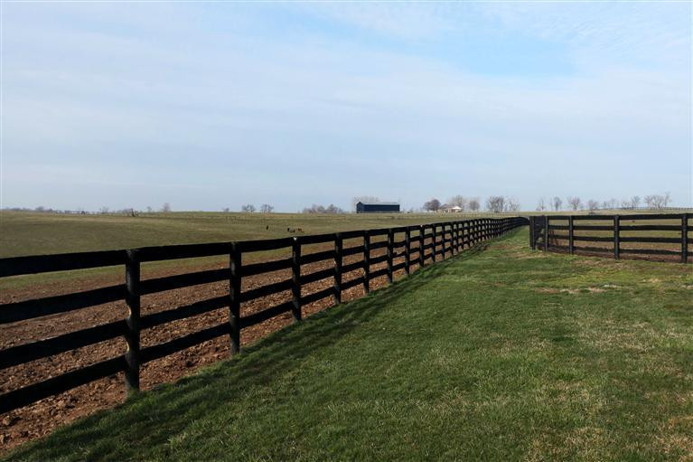 1094 Clay Kiser Road Paris, KY 40361 - Photo 19 of 44 Photo 19