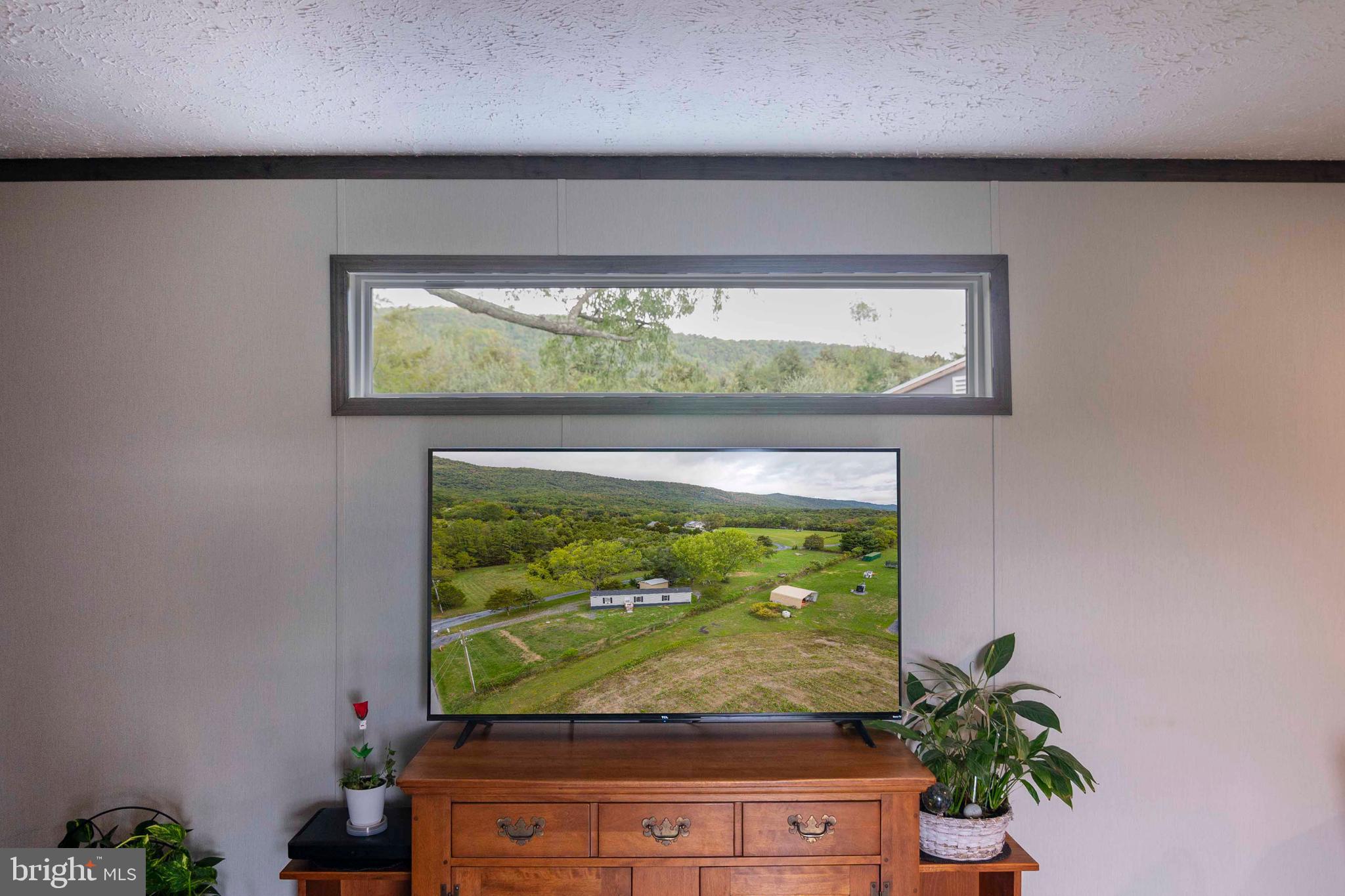 246 Zepp Road Maurertown, VA 22644 - Photo 15 of 36 Transom Window in Family Room