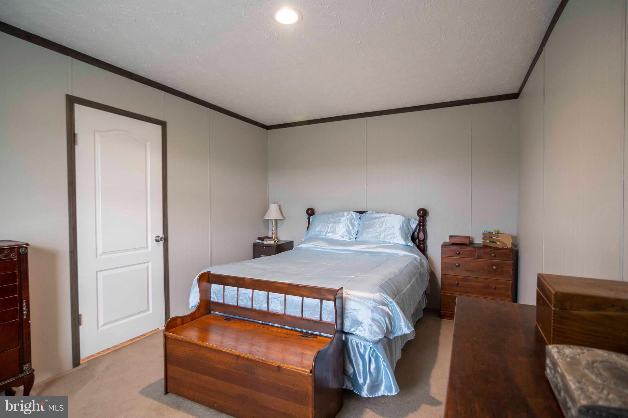 246 Zepp Road Maurertown, VA 22644 - Photo 17 of 36 Primary Bedroom