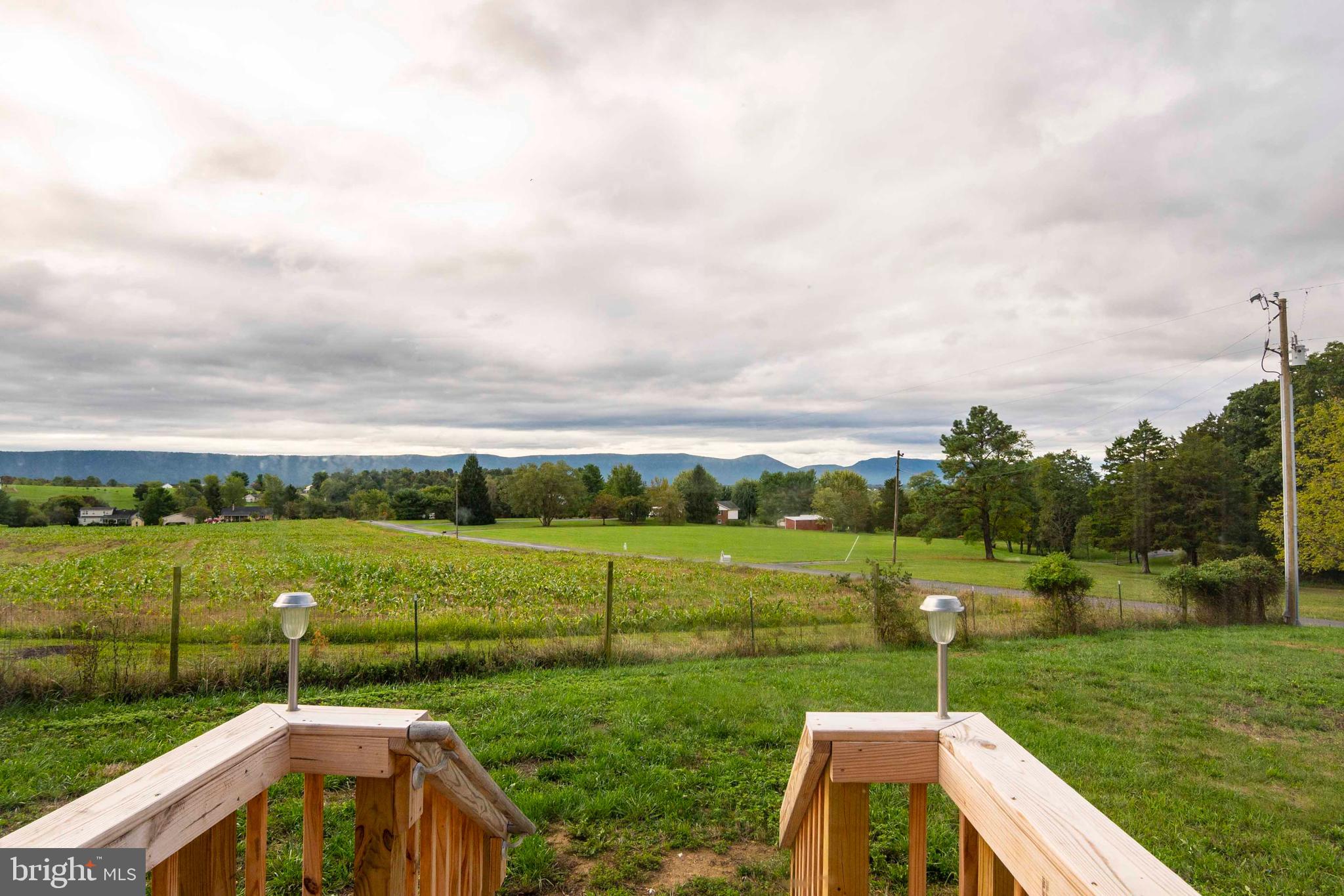 246 Zepp Road Maurertown, VA 22644 - Photo 25 of 36 View from Front Door