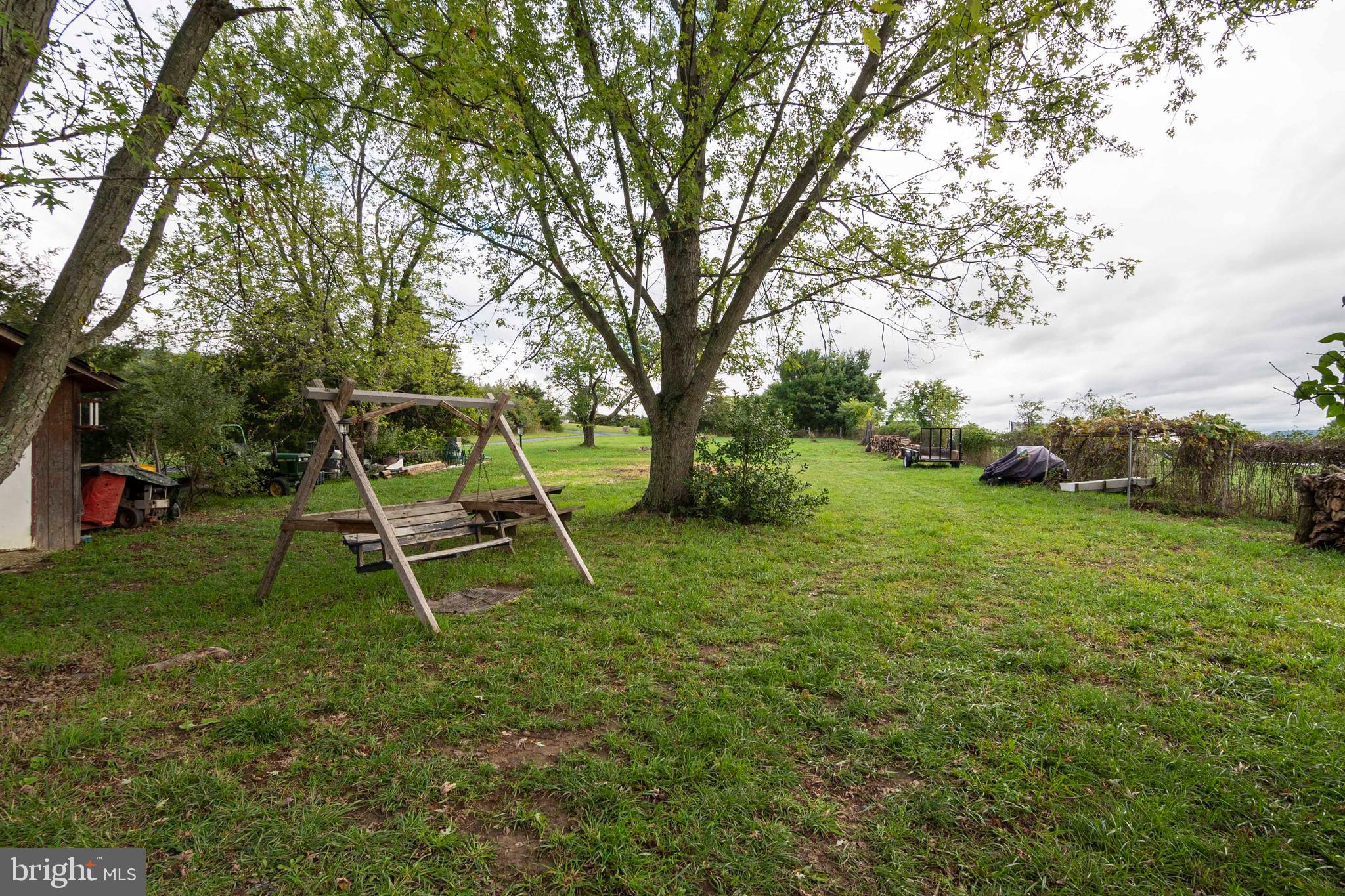 246 Zepp Road Maurertown, VA 22644 - Photo 29 of 36 Back Yard