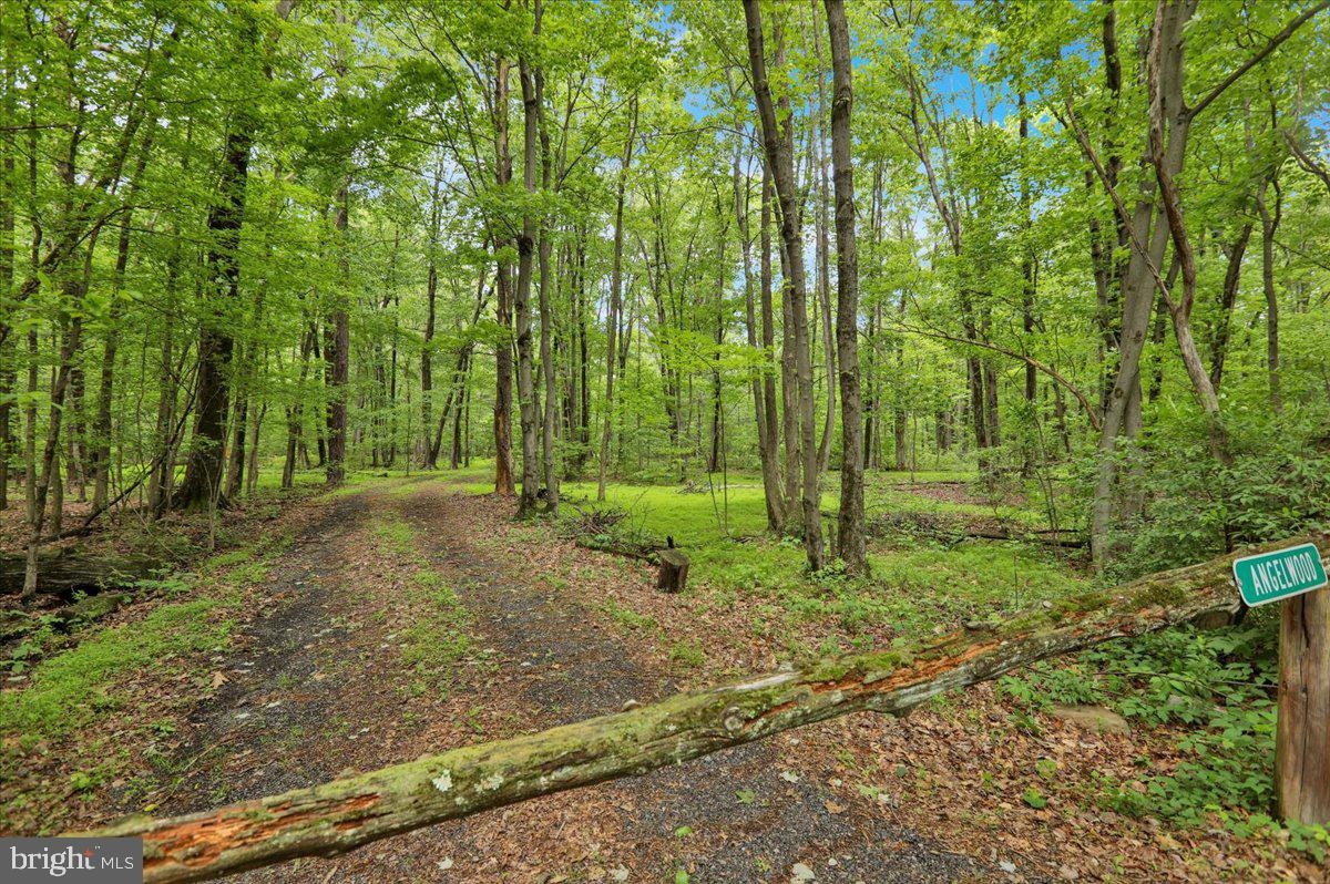 149 Bloody Spring Road Bernville, PA 19506 - Photo 1 of 8 Gallery Image 1