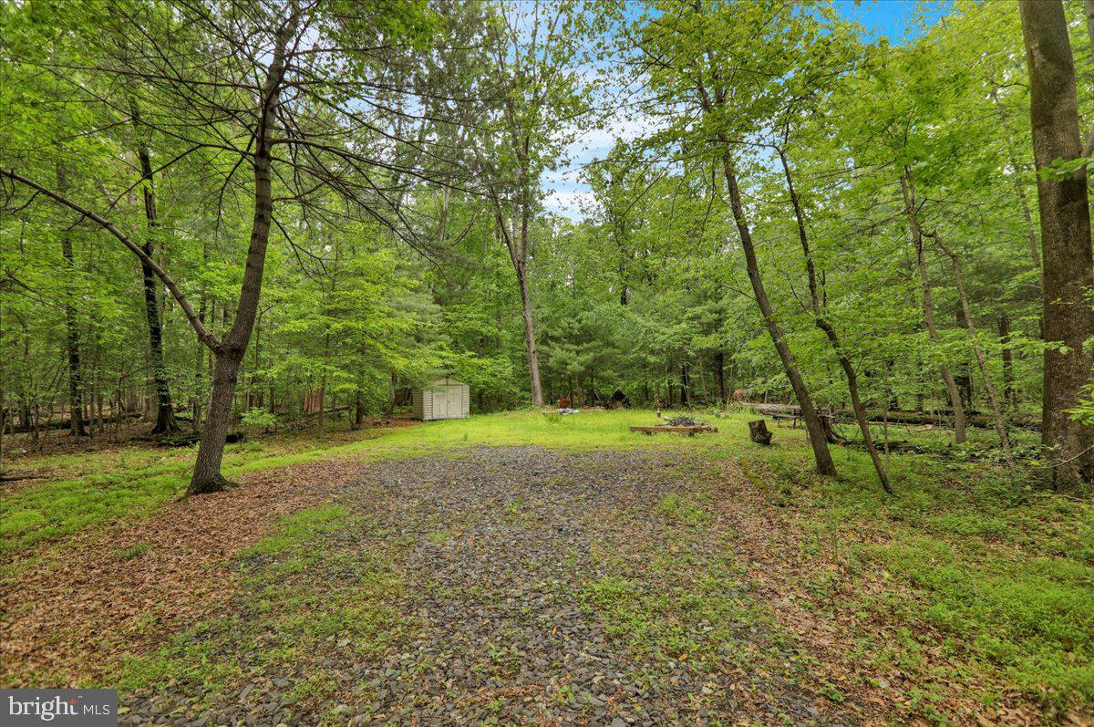 149 Bloody Spring Road Bernville, PA 19506 - Photo 5 of 8 Gallery Image 5