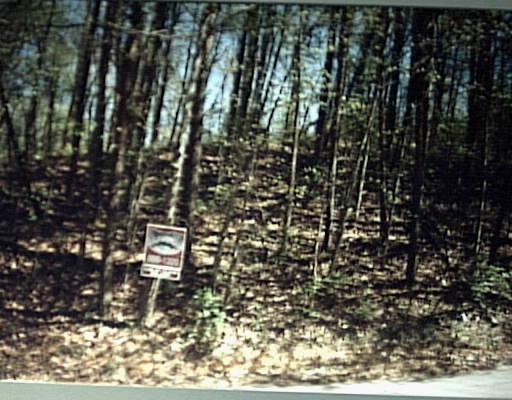 1129 Pineville Road Chattanooga, TN 37405 - Photo 1 of 1 Primary Photo