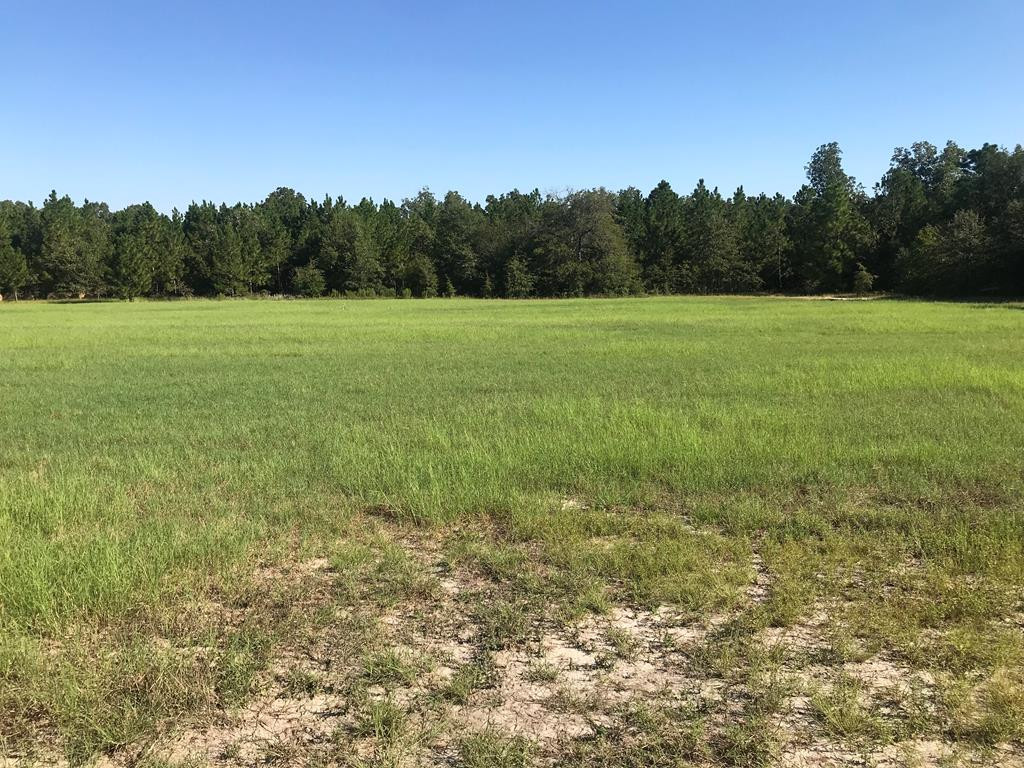 462 Colbert Bridge Road Windsor, SC 29856 - Photo 9 of 18