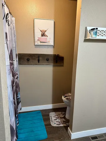 a bathroom with a toilet and a shower curtain