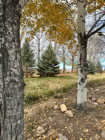 a backyard of a house with lots of green space