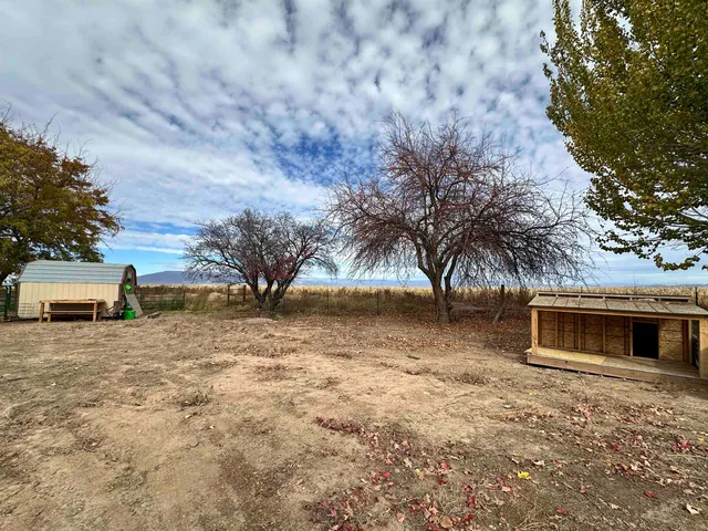 a view of backyard with green space