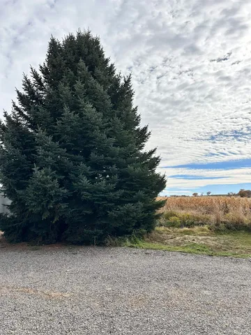 $625,000 | 4150 Highway 348, Olathe, CO 81425