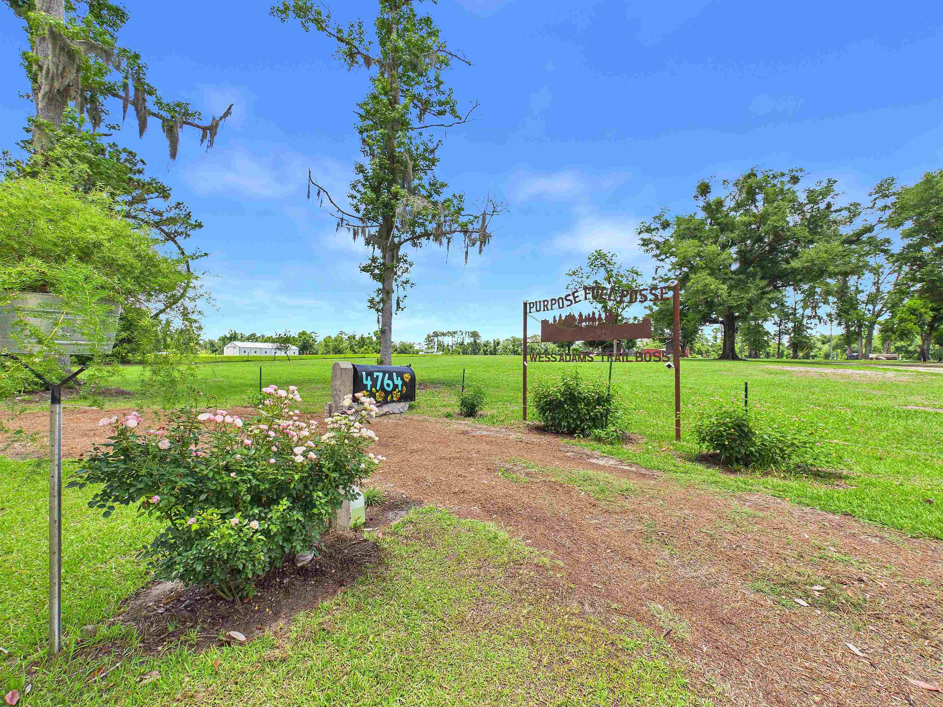 4764 Southwest Fellowship Road Greenville, FL 32331 - Photo 48 of 70