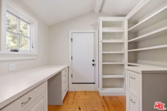a view of a yard with plants and large trees