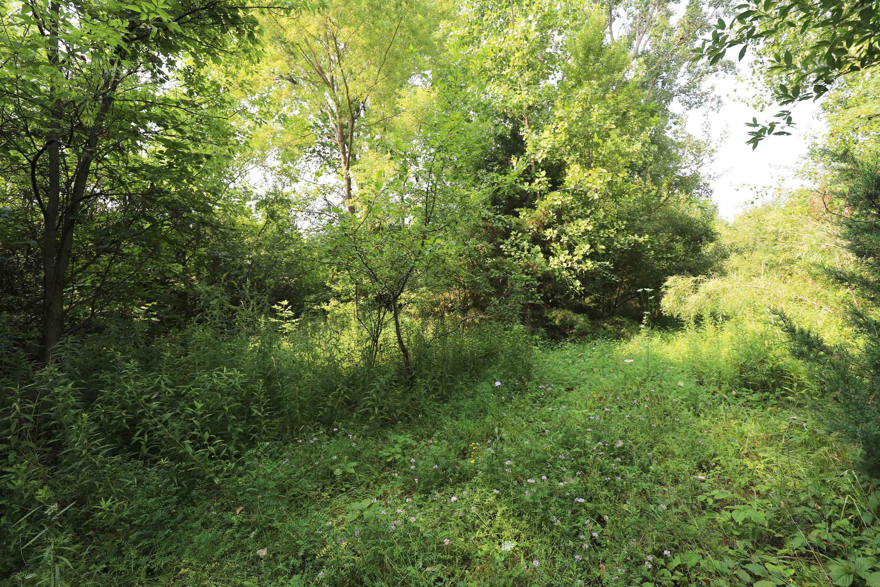 Luce Road Flushing, MI 48433 - Photo 3 of 8