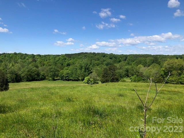 2141 New Prospect Church Road Shelby, NC 28150 - Photo 40 of 43 a view of a big yard with potted plants and mountain