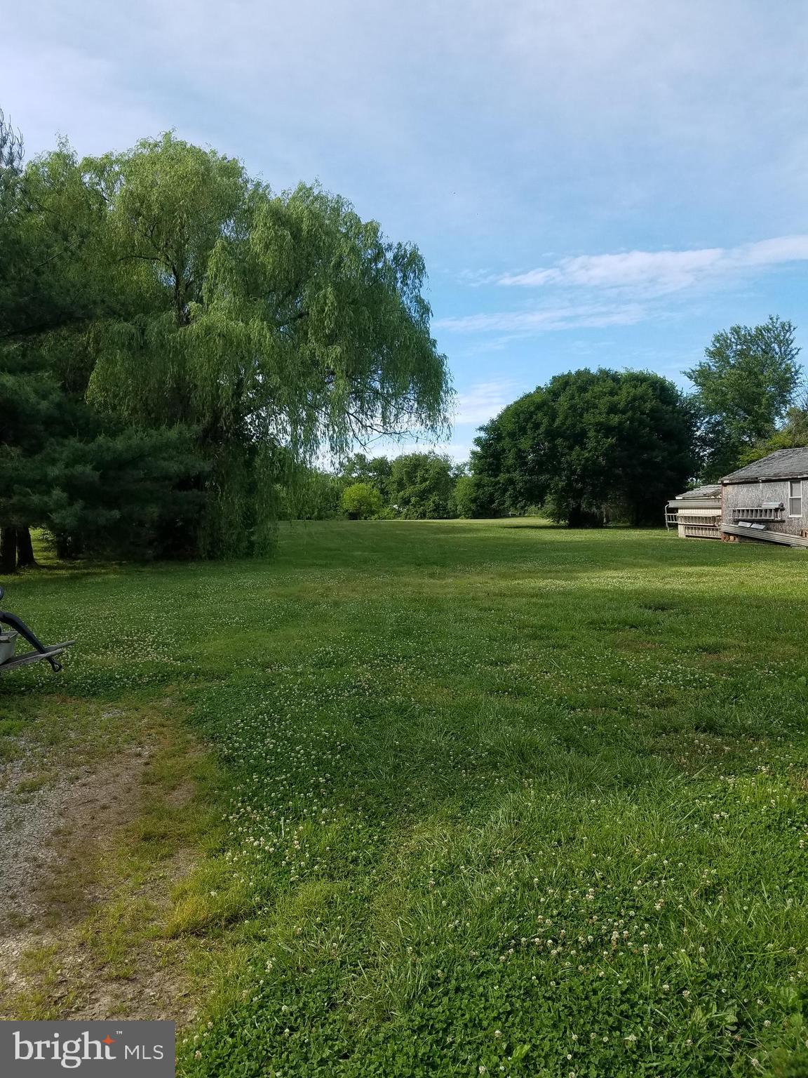 43 Cole Road Townsend, DE 19734 - Photo 8 of 17 Back Yard