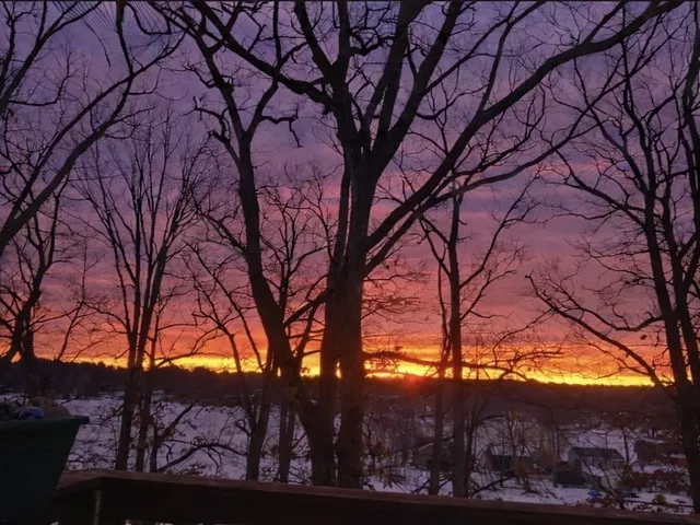a view of mountain view with lots of trees