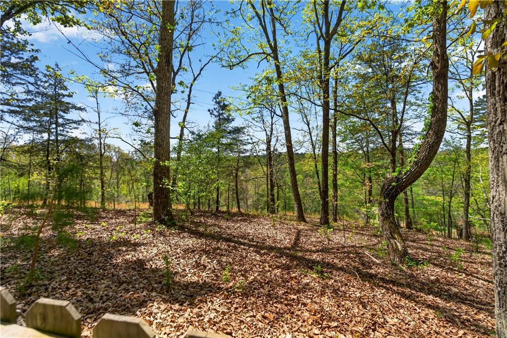 194 Lukes Path Jasper, GA 30143 - Photo 43 of 45