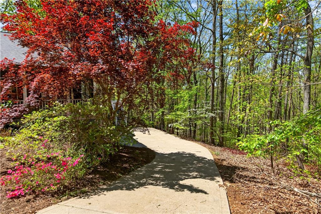 194 Lukes Path Jasper, GA 30143 - Photo 6 of 45