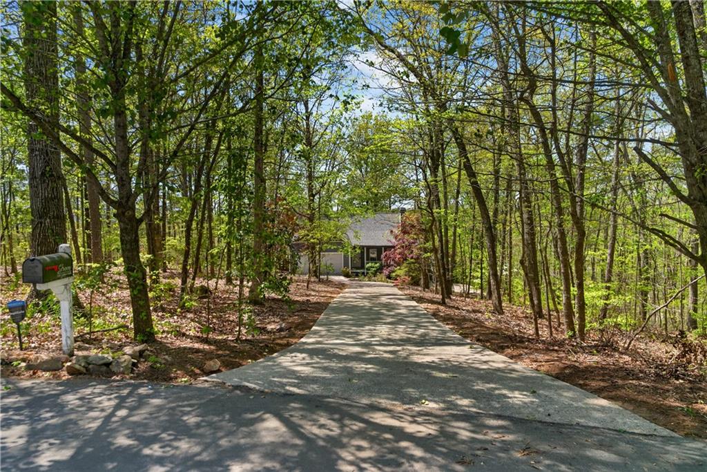 194 Lukes Path Jasper, GA 30143 - Photo 7 of 45