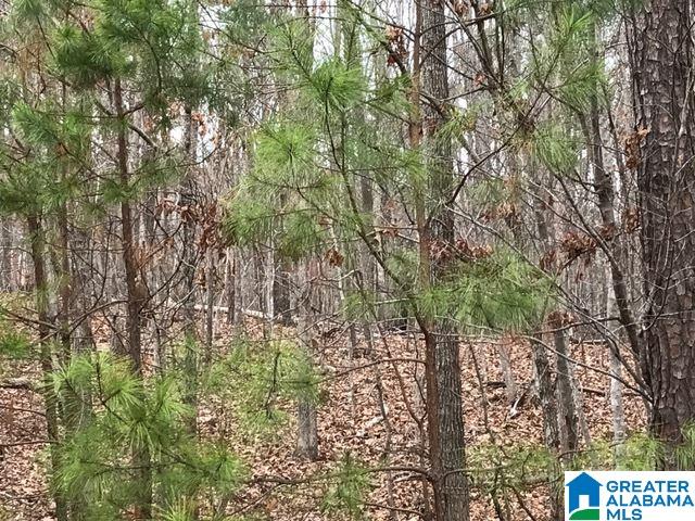 7047 Highway 119 Alabaster, AL 35007 - Photo 2 of 2
