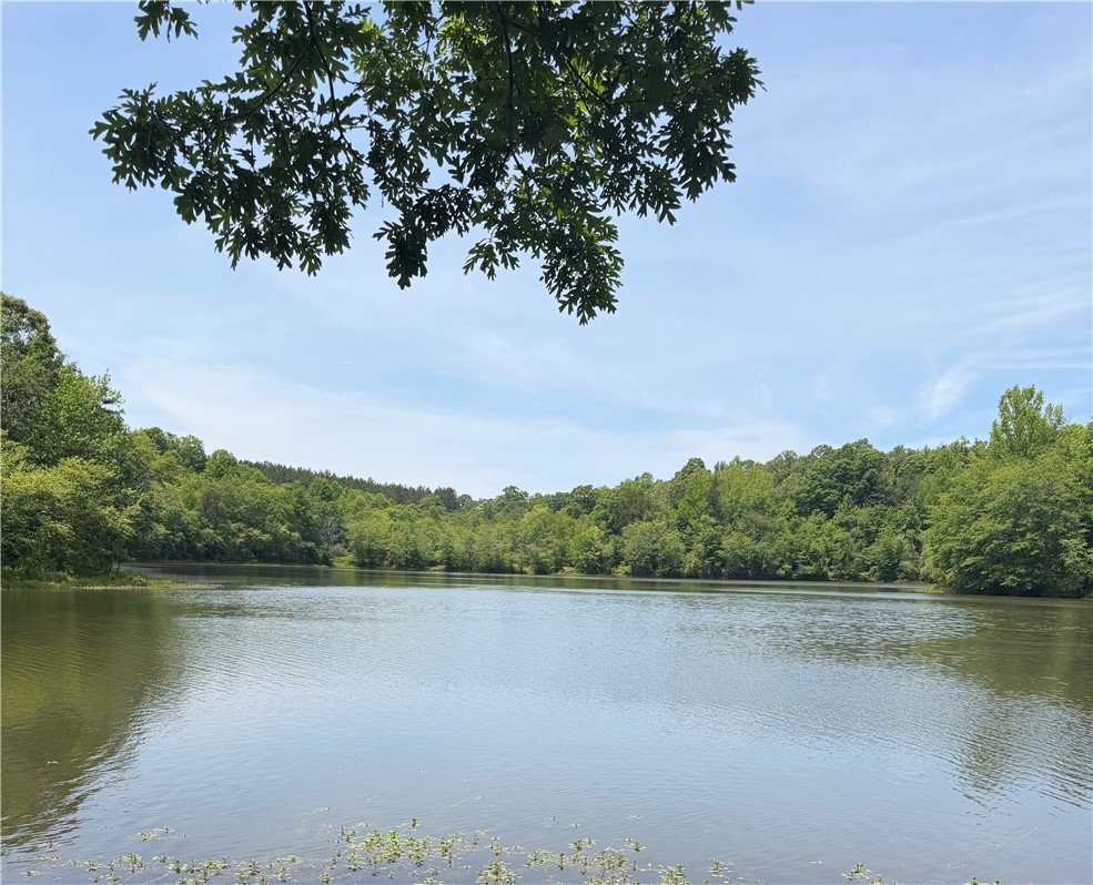 28-acres Water Works Road Walhalla, SC 29691 - Photo 1 of 10