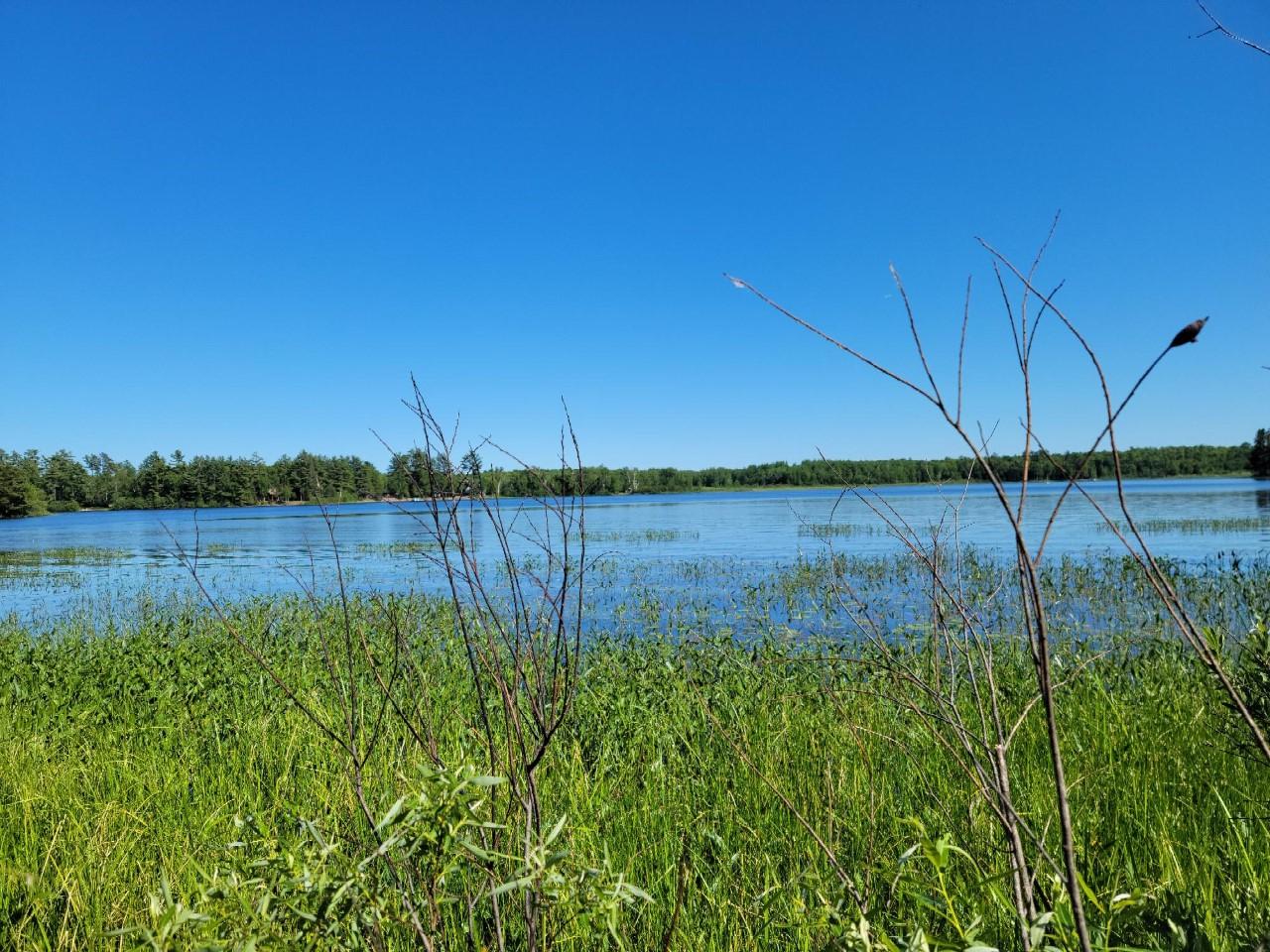 Lot 1 Musky Point Road Mercer, WI 54547 - Photo 13 of 27 Gallery Image 13