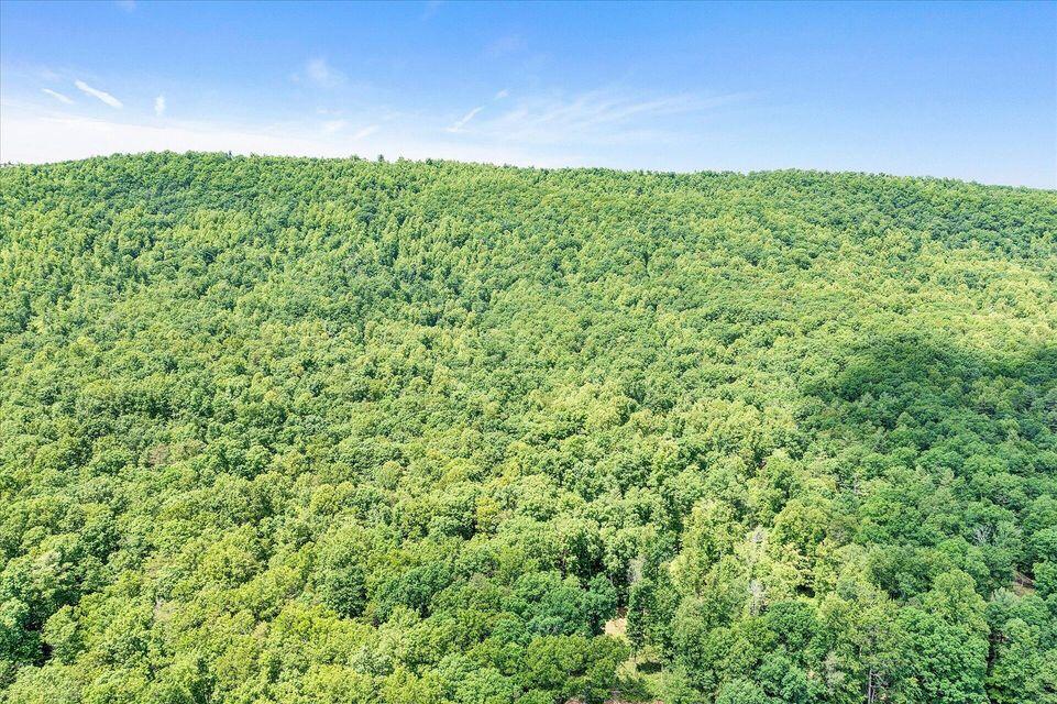 0 Norris Run Road Blacksburg, VA 24060 - Photo 5 of 9 20220530115824175341000000-o