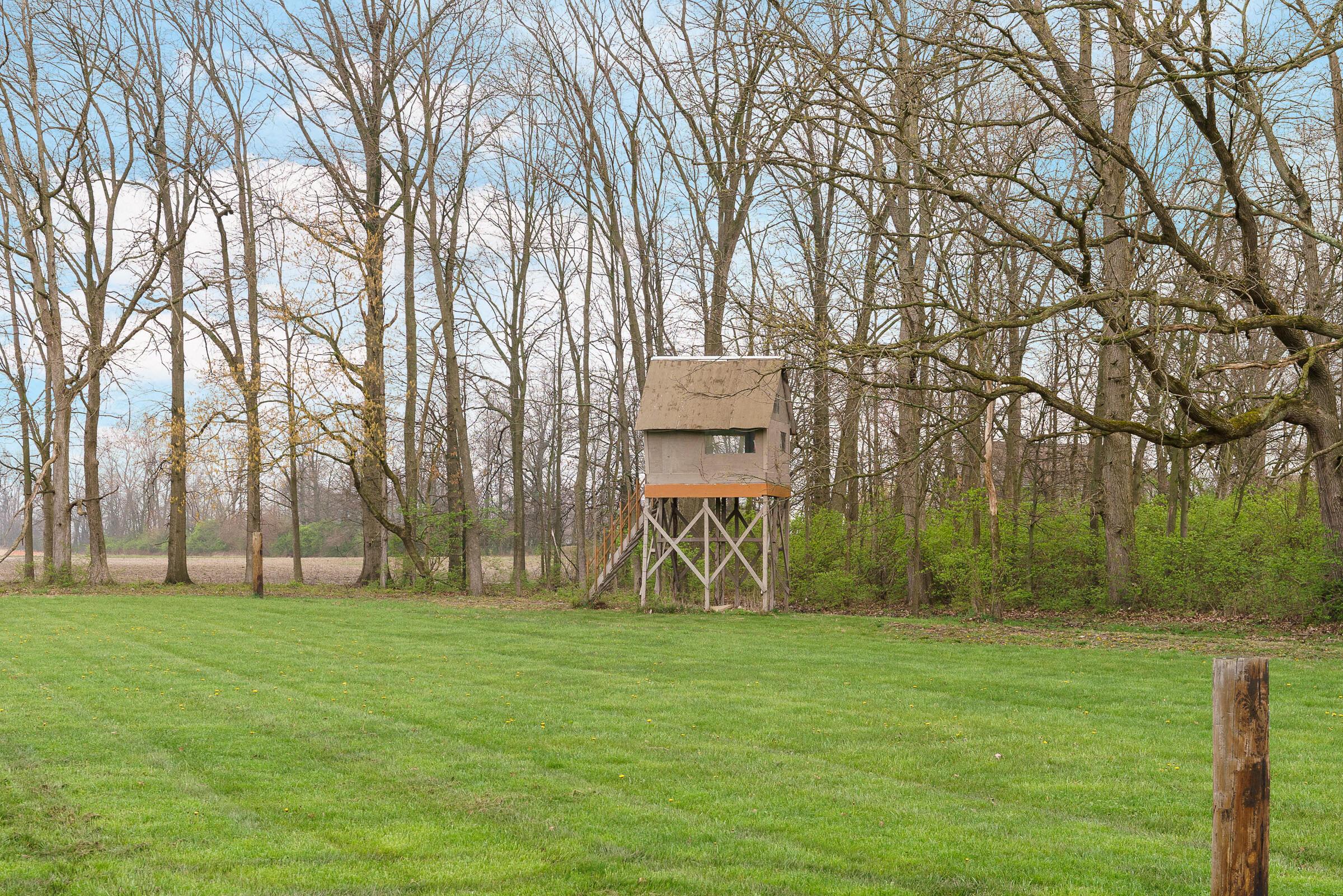 1232 Dale Ford Road Delaware, OH 43015 - Photo 51 of 59 Tree House