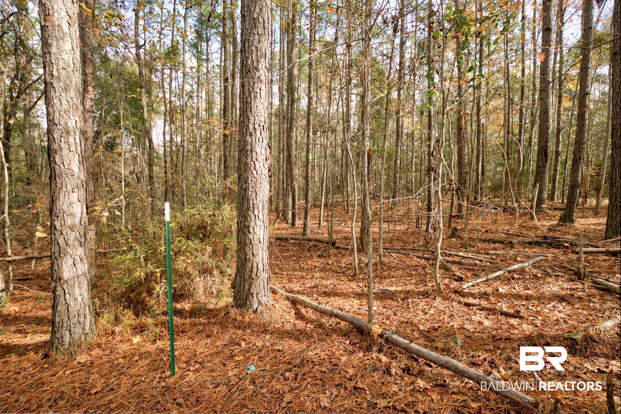 Old Greenville Road Evergreen, AL 36401 - Photo 5 of 16