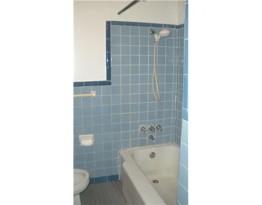 a bathroom with a bathtub and a toilet