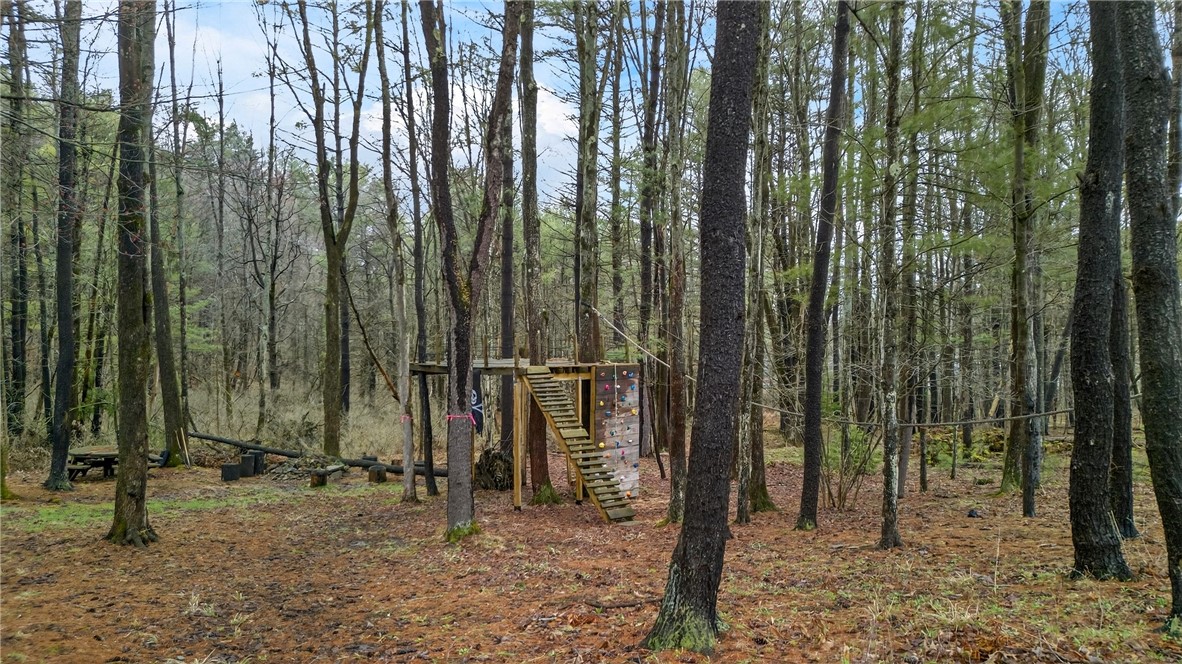 10887 Copp Hill Road Corning, NY 14830 - Photo 41 of 45