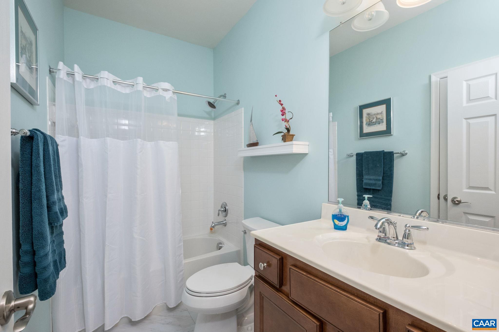 56 John Rucker Drive Ruckersville, VA 22968 - Photo 25 of 38 a bathroom with a sink toilet and shower