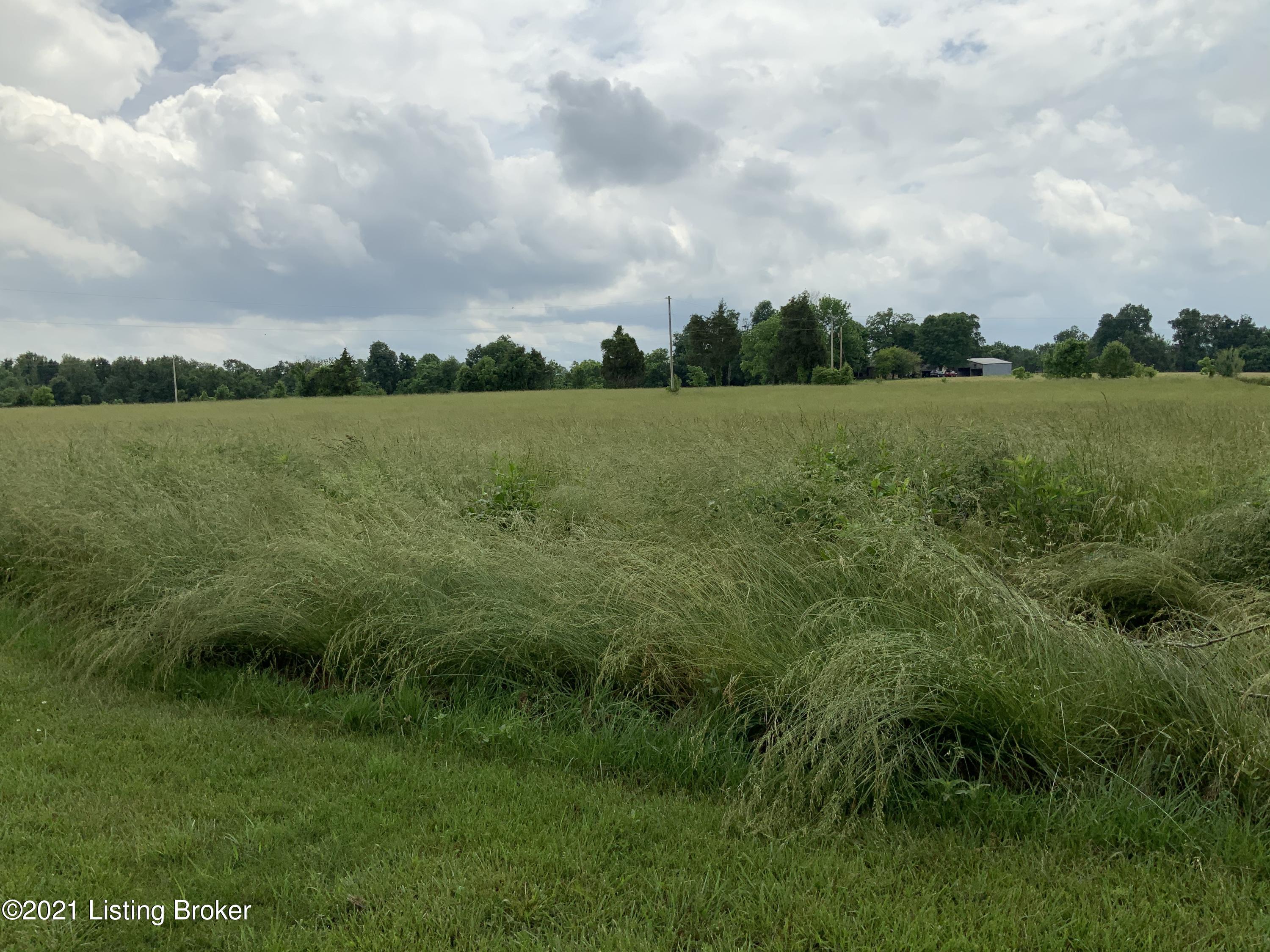 337 Lee Miller Road Leitchfield, KY 42754 - Photo 7 of 30 EC4DF8DF-1F51-4DC7-9659-D603CF75F92D