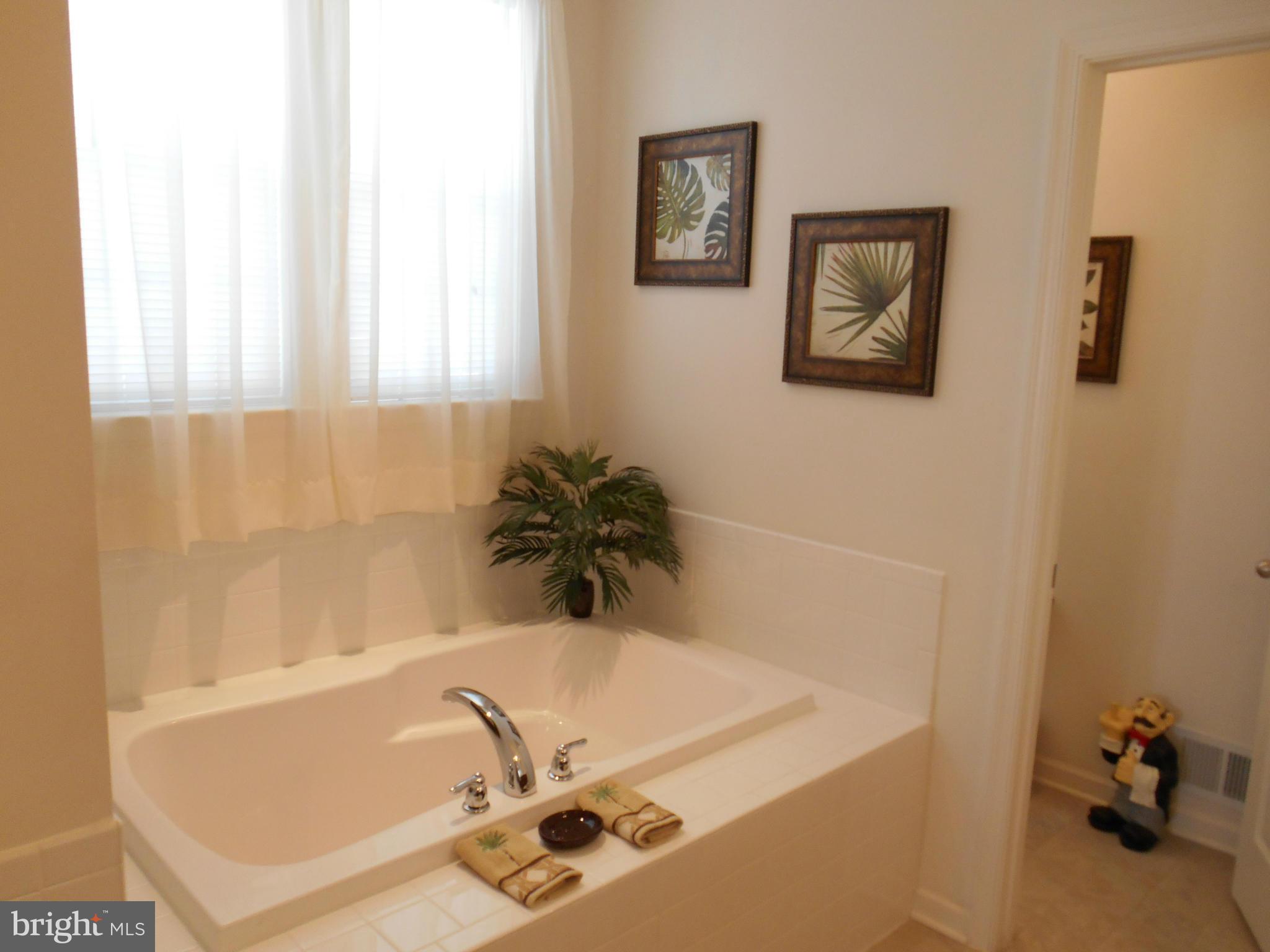 1257 Stallion Street Ranson, WV 25438 - Photo 8 of 15 Bath (Master)