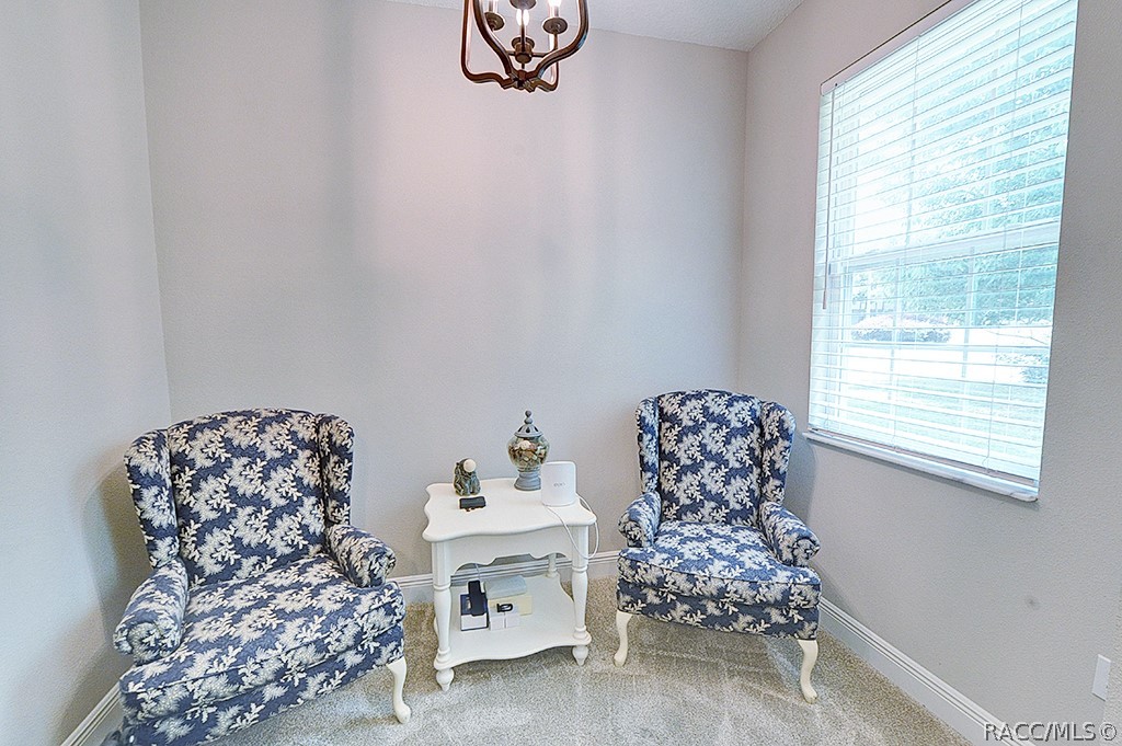 10584 Southwest 53rd Circle Ocala, FL 34471 - Photo 20 of 38