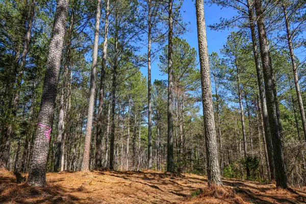 $99,900 | 0 Asbury Road, Pacolet, SC 29372