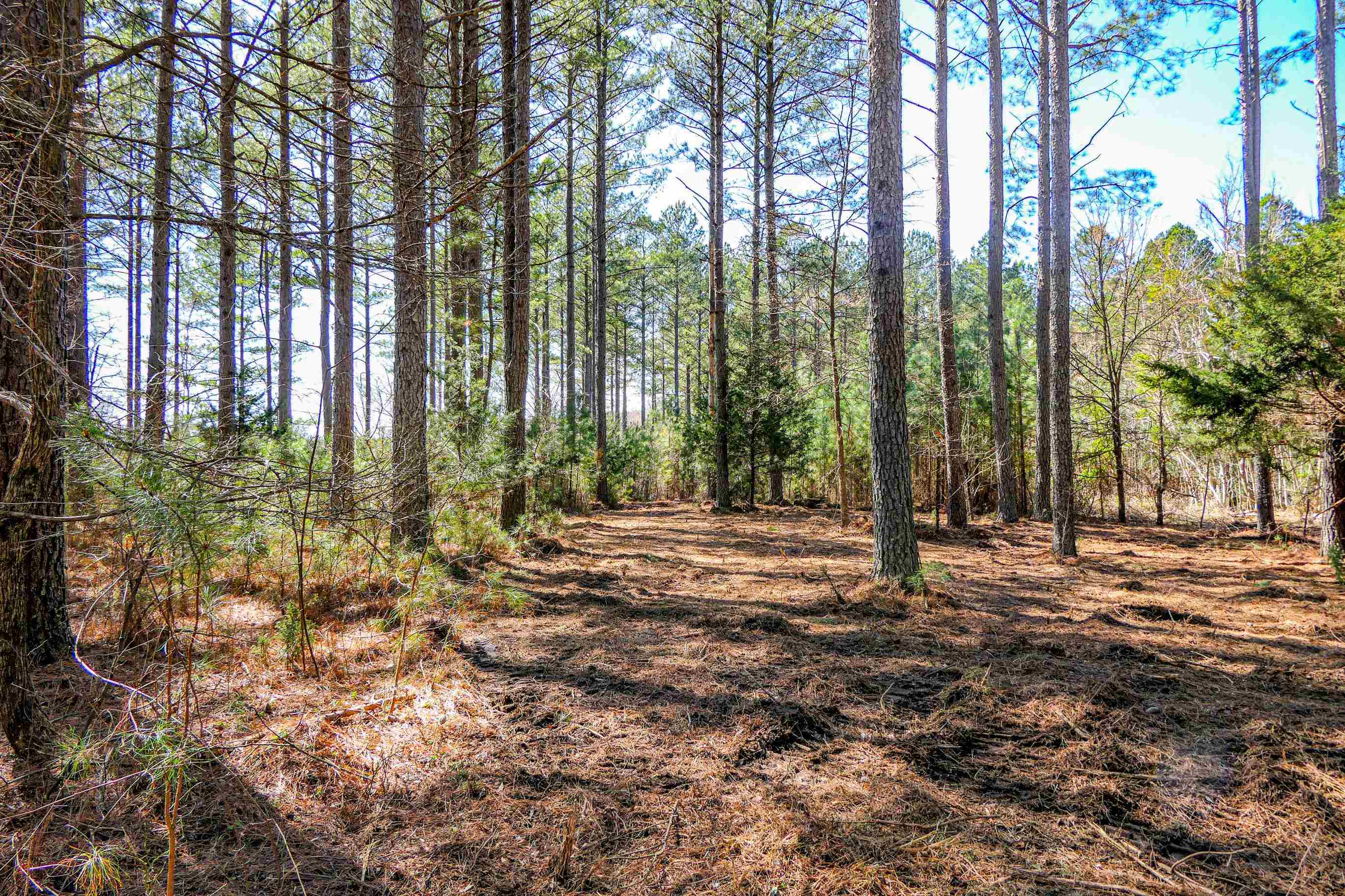 0 Asbury Road Pacolet, SC 29372 - Photo 4 of 5