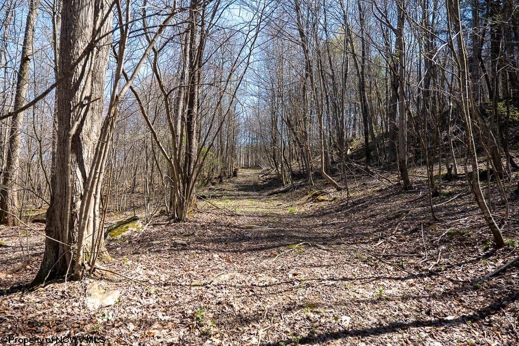 Lot 1 Fairfax Mine Road Reedsville, WV 26547 - Photo 20 of 49 Gallery Image 20