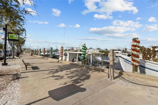 $3,800 | 721 Brittany Park Boulevard, Tarpon Springs, FL 34689