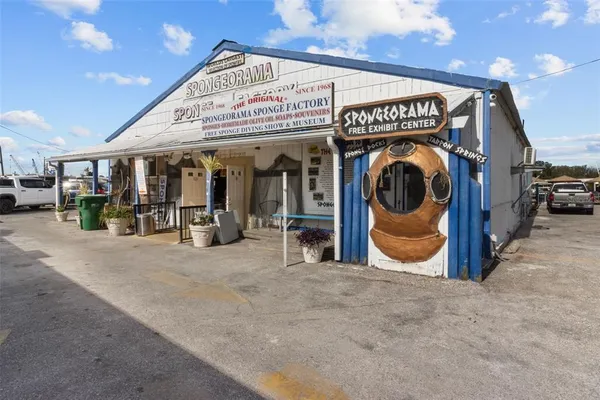 $3,800 | 721 Brittany Park Boulevard, Tarpon Springs, FL 34689