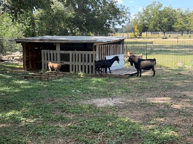 385 Ranch Road 1 Stonewall, TX 78671 - Photo 11 of 20 a view of a chair and table in backyard of the house