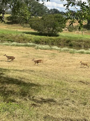 a view of sunset and lake