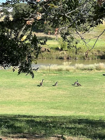 $457,000 | 385 Ranch Road 1, Stonewall, TX 78671