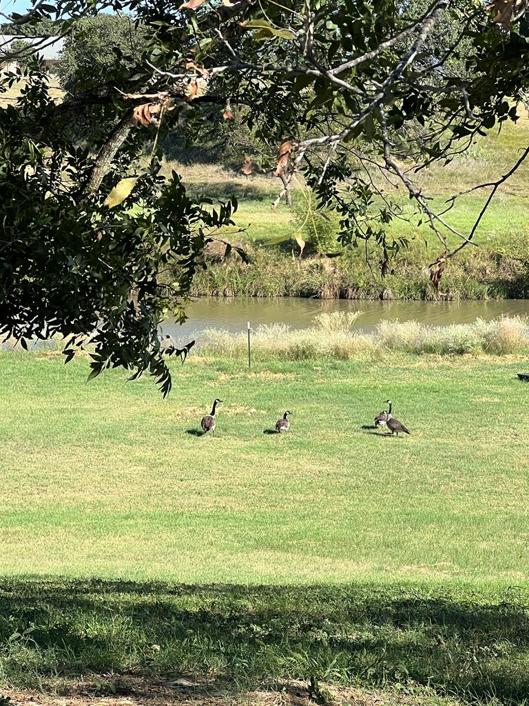 385 Ranch Road 1 Stonewall, TX 78671 - Photo 19 of 20 a view of an ocean view